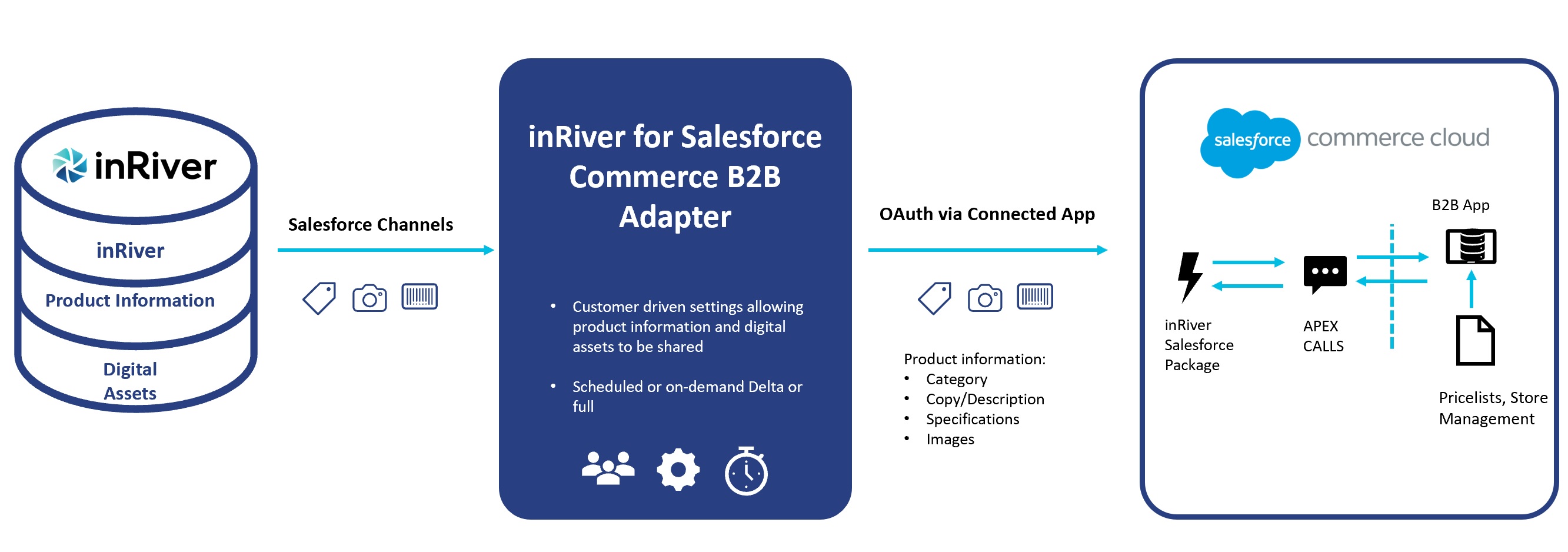 salesforce_B2B_overview.jpg